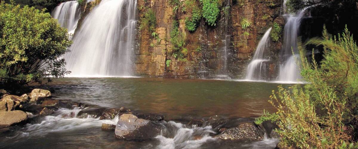 A waterfall cascading over a rocky cliff into a calm pool surrounded by dense forest.
