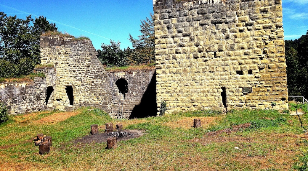 Ruine Grasburg an der Sense. Ein angeblicher Kraftort im Kanton Bern. Wunderschönes Naturgebirge . Auch Hunde und Kinder kommen hier nicht zu kurz.