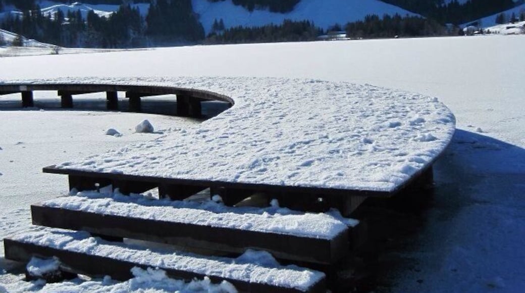 You can't tell here, but under all this #Snow is a lake. I took some amazing photos here this day. Picture perfect in every way. #Switzerland