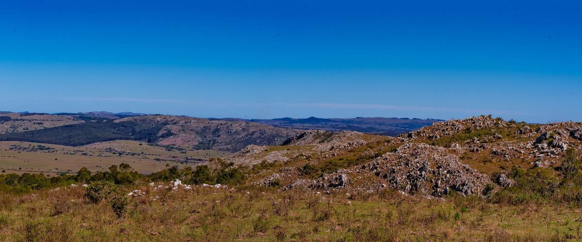 Rolling hills, a clear blue sky, and scattered trees.