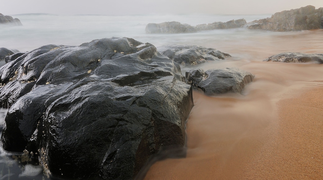 Warner-stranden