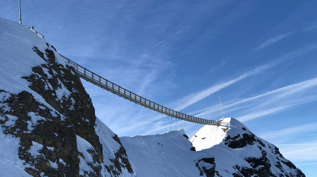 Peak walk by Tissot
It’s a beauty connecting to peaks. On a clear day with all the 360 breathtaking views