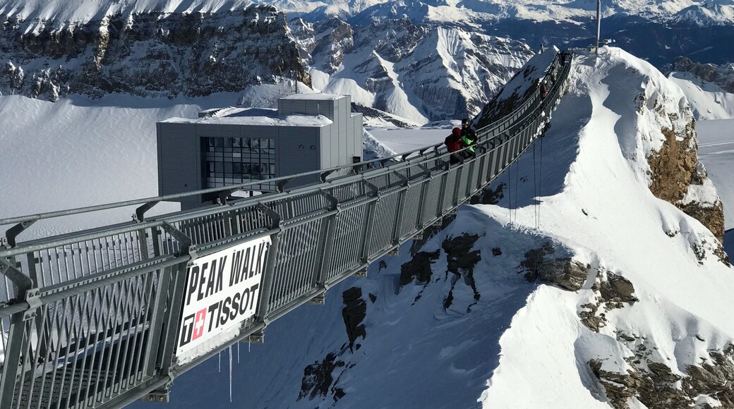 Peak walk by Tissot ..