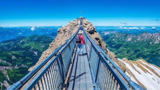 “Peak walk” is the worlds first suspension bridge that connects two mountain peaks. It’s located near the Glacier 3000 cable car station, at an altitude of nearly 3000m. Bring appropriate clothing since even during summer, it can be chilly and windy up there ! #bvsblue