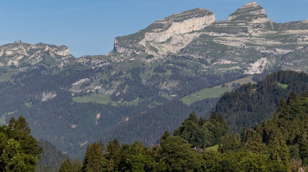 La Berneuse mountain top and ski area in the summer as seen from the east at Vers l'Eglise, Ormont-Dessus, Switzerland. Copy space.