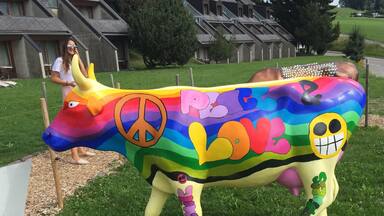 A hippie cow at the highway stop between Berne and Lausanne