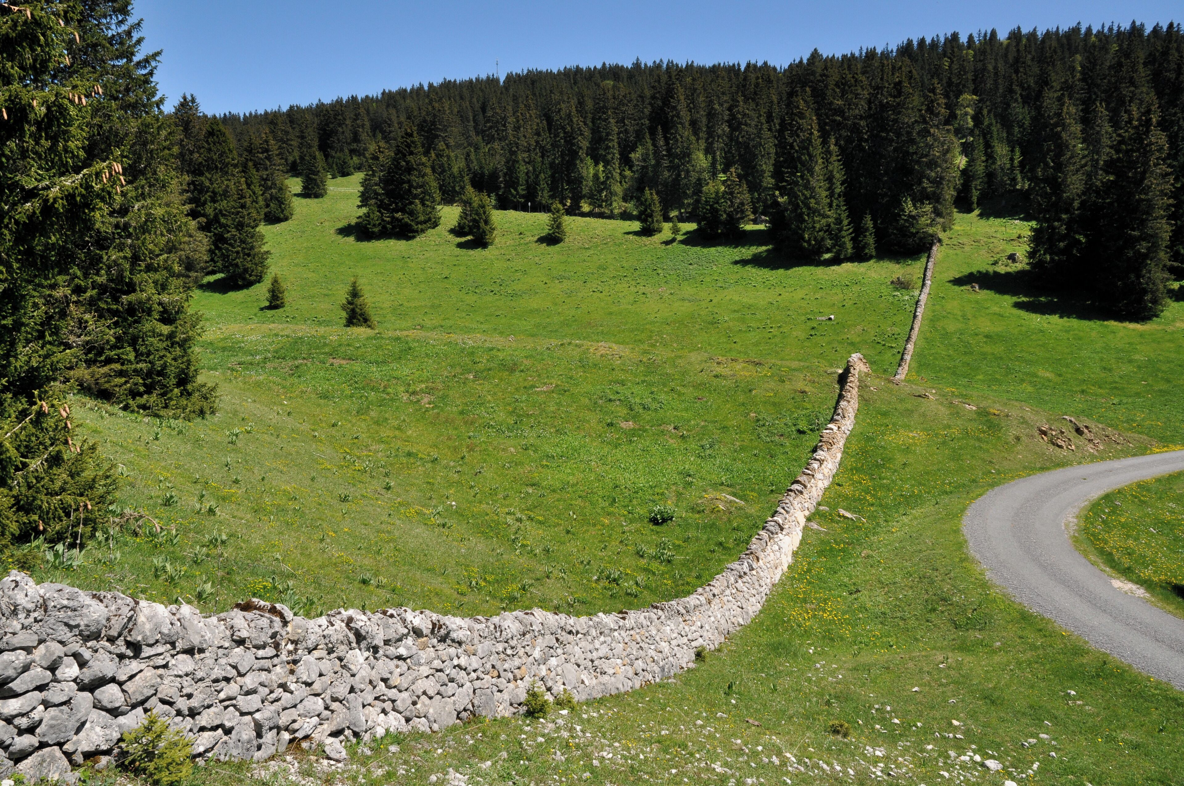 Parc Jura vaudois - die typischen Mauern aus Feldsteinen beim Cret de la Neuve
