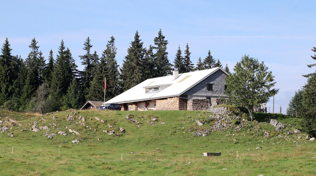 Ferme du Cerney au Brassus (VD).