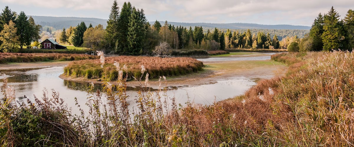 A river meandering through a forested landscape with a small house on the left bank.