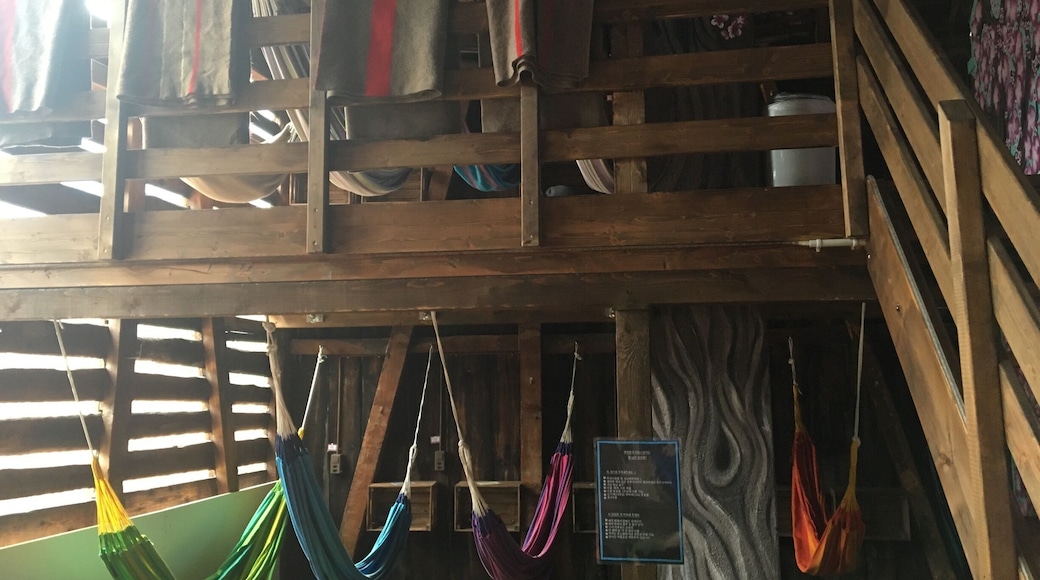 Hammock Room! 🤙🏼👌🏼