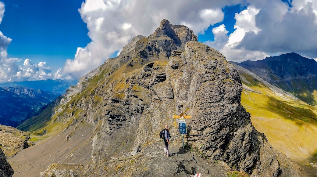 Reichenbach im Kandertal