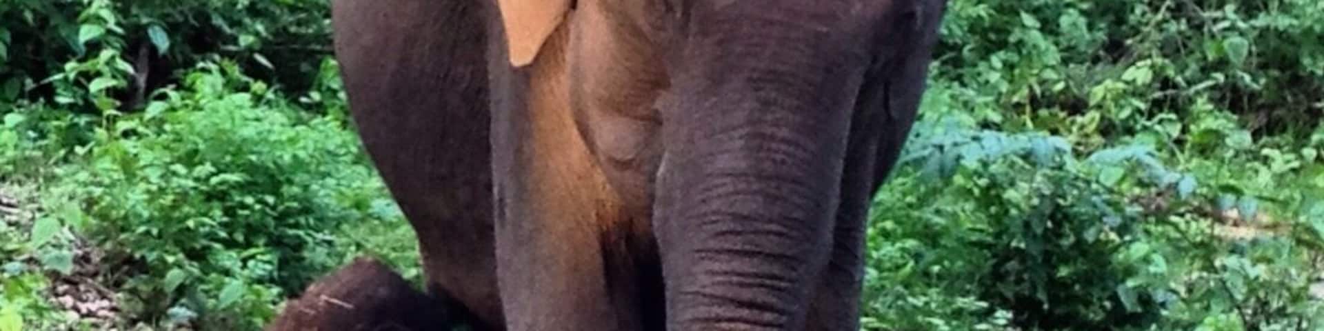 Spotted during our evening safari.