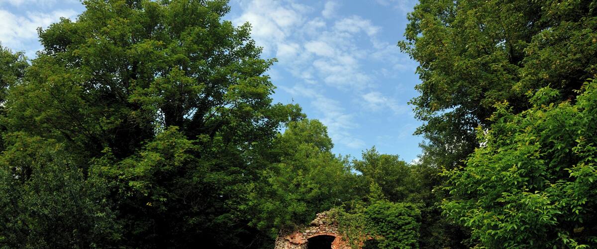 Kletzke,...im Schlosspark mit Burgruine
