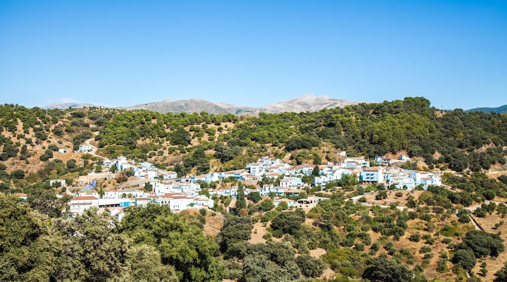 Júzcar, pueblo pitufo