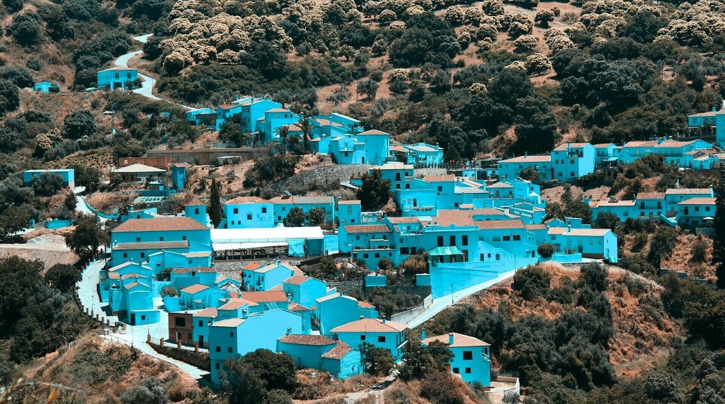 The Smurf Town, the only in the world.
Andalucía is known for its white villages but in 2011 buildings in Juzcar (including the church and gravestones) were painted smurf-blue by Sony Pictures to celebrate the premiere of the Smurfs movie.
#travel #spain