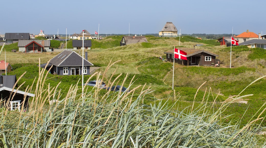 Summer houses at the North Sea