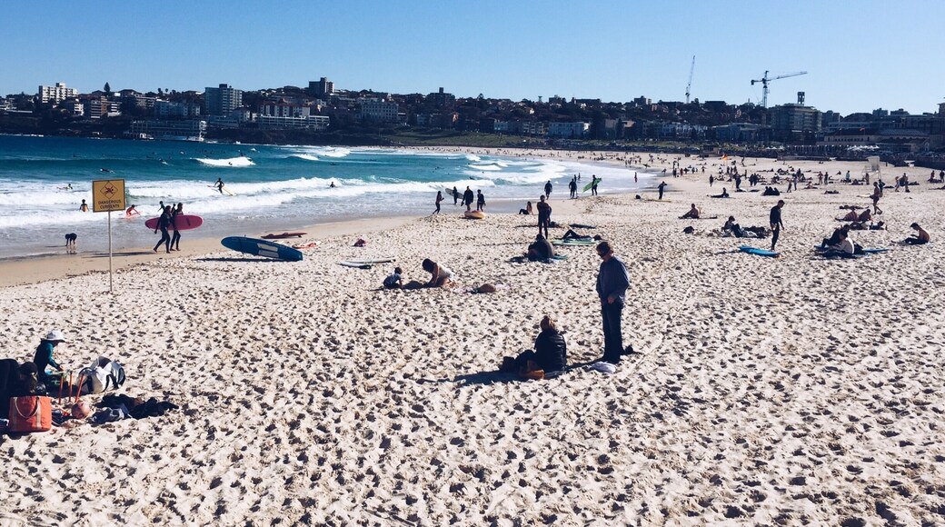 Sydney in winter... Not too bad #bondi #beach #home #waterlust #australia