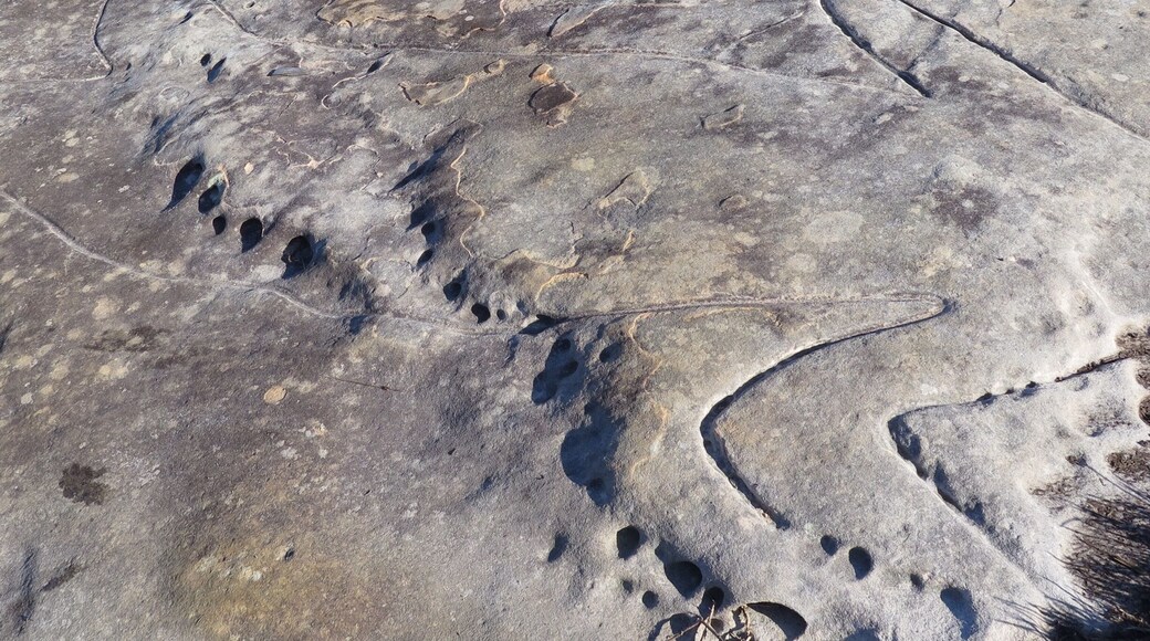 During a bit of urban #hiking today, we discovered some historic aboriginal rock carvings! Head to the North Bondi golf club, then beeline for the chimney stack and the rock carvings are just nearby. Fantastic views of the coastline from the cliffs too.