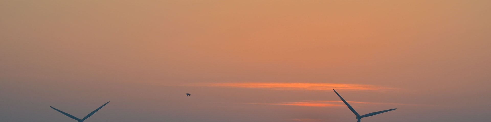 Wind Turbines. Éoliennes. Bouin, Vendée, France