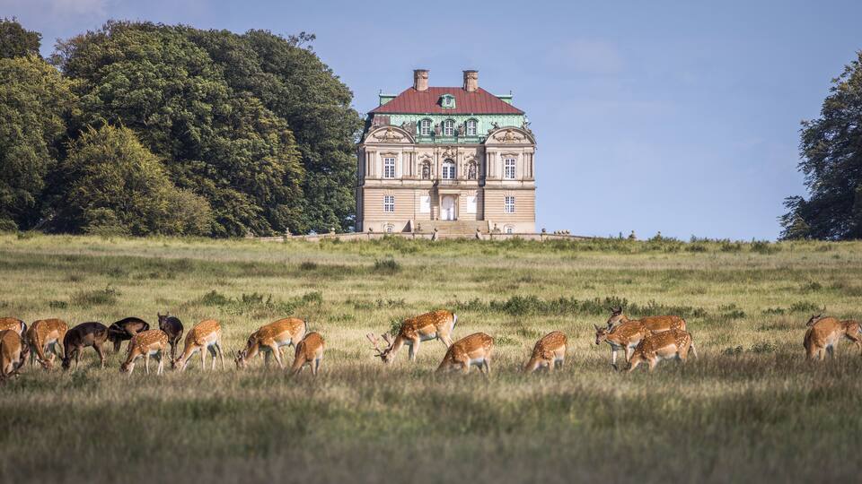 A large building with a green roof and multiple chimneys, surrounded by a field with deer grazing.