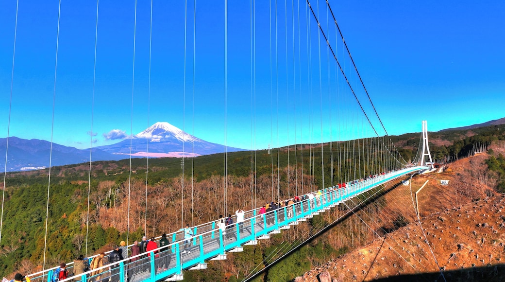 三島スカイウォーク