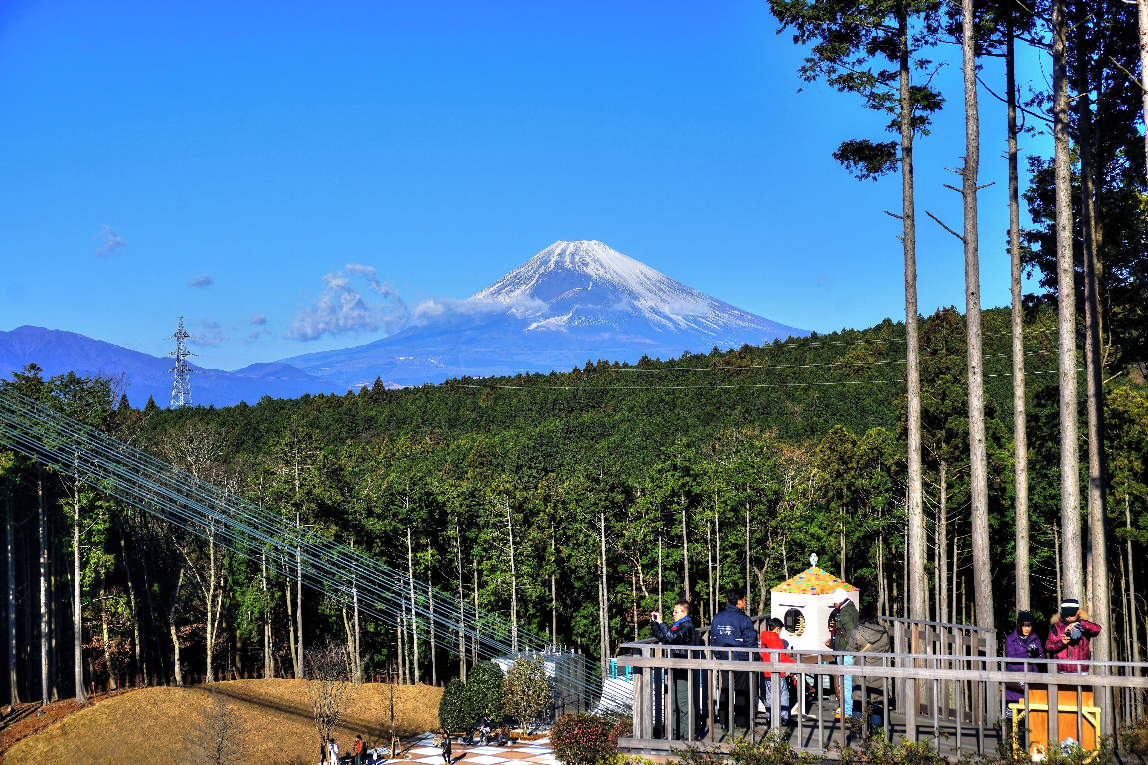 三島スカイウォーク