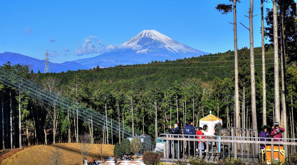 三島スカイウォーク