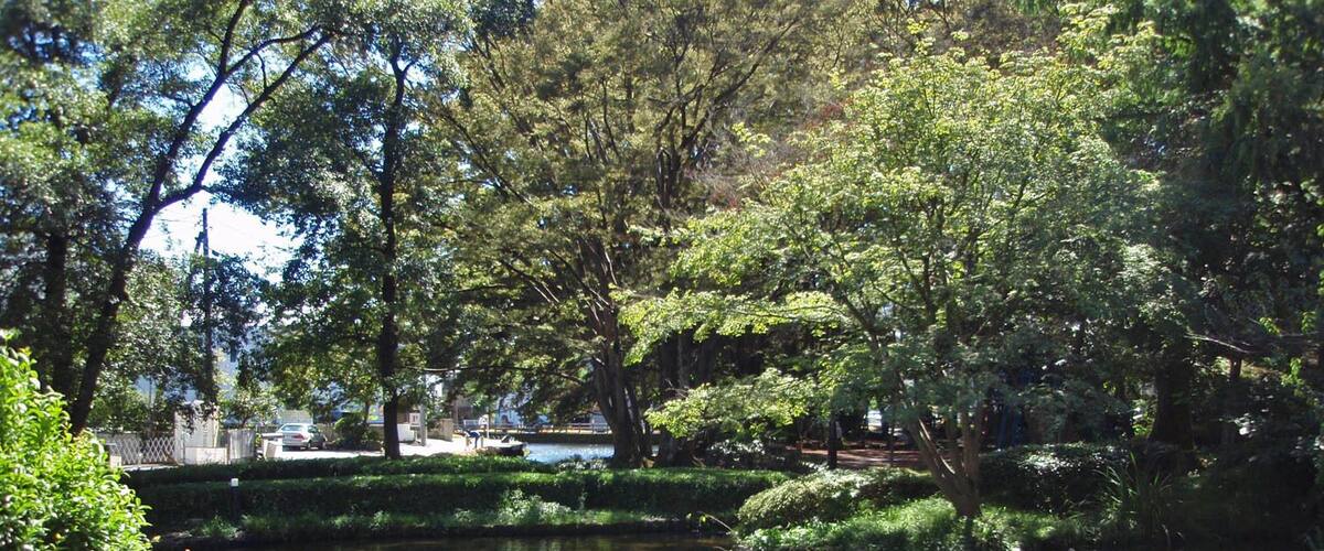 Shirataki park in Mishima city, Shizuoka prefecture, Japan.
