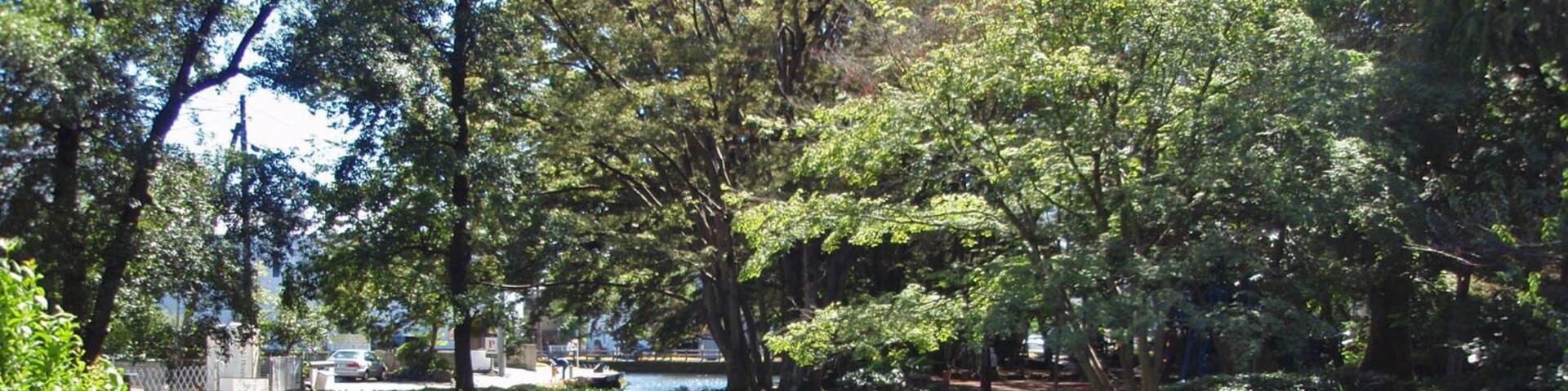 Shirataki park in Mishima city, Shizuoka prefecture, Japan.