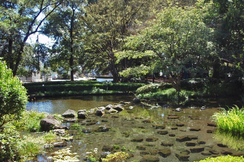 A serene pond with rocks and lush greenery, surrounded by trees and a distant view of a cityscape.