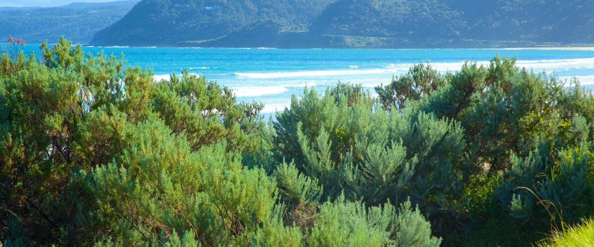 Fairhaven montrant vues littorales