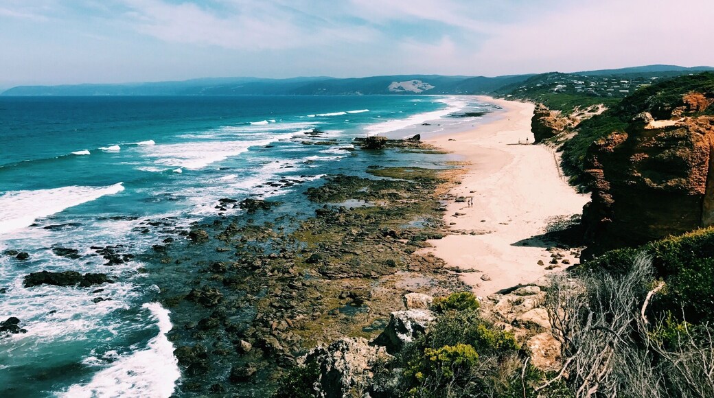 Great ocean road trip with my mom and sister who were visiting 🌊