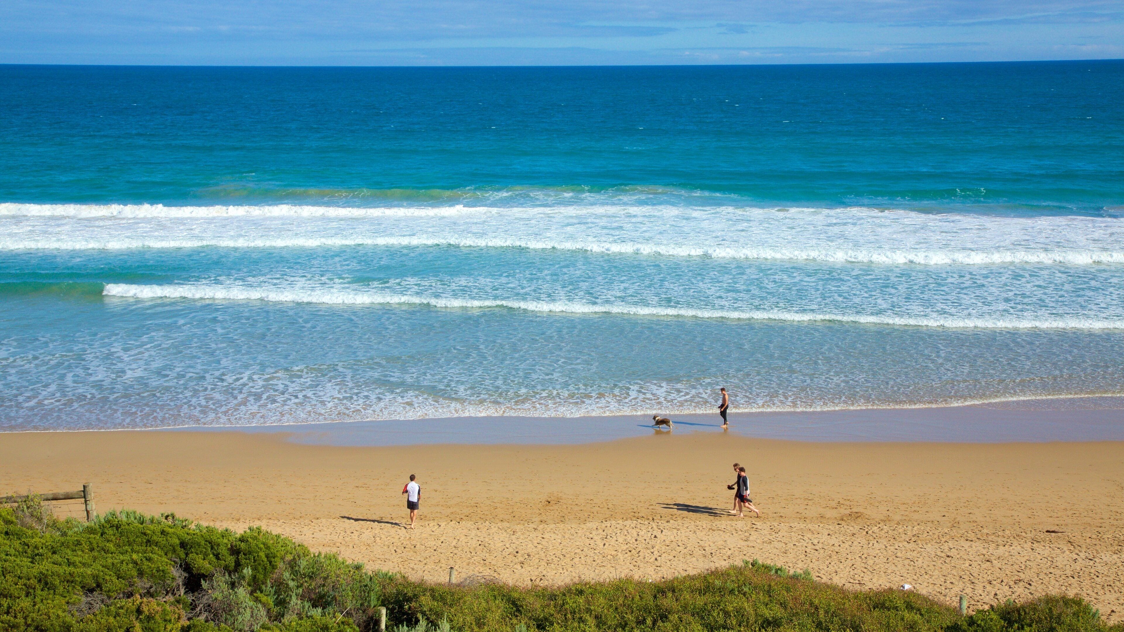 A beach with waves, a dog, and two people walking.