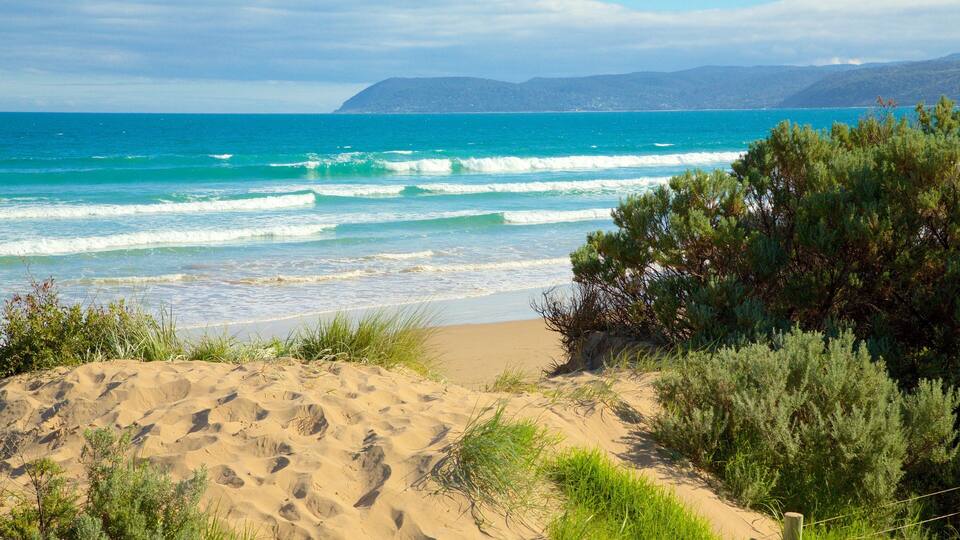 A beach with waves, sand dunes, and green vegetation.