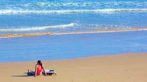Great Ocean Road showing a sandy beach and general coastal views as well as an individual femail