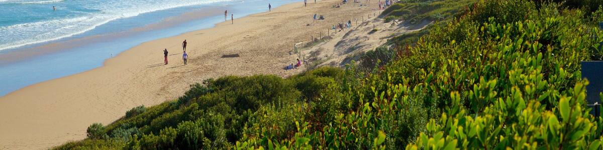 Fairhaven showing landscape views and a sandy beach