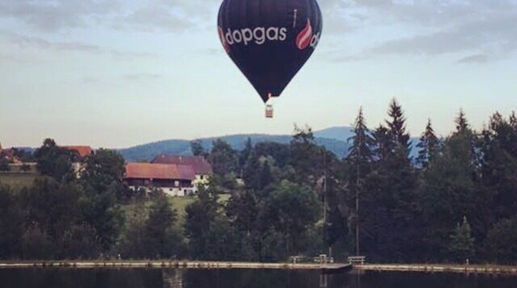 How do we know where we are going? How do we know where we are headed till we in fact or hope or hunch arrive? you can only criticize, the comfortable say, you don’t know what you want. Ah, but we do.
We have swung in the green verandas of the jungle trees. We have squatted on cloud-grey granite hillsides where every leaf drips. We have crossed badlands where the sun is sharp as flint. We have padded into the tall dark sea in canoes. We always knew.
#Peace, plenty, the gentle wallow of intimacy, a bit of Saturday night and not too much Monday morning, a chance to choose, a chance to grow, the power to say no and yes, pretties and dignity, an occasional jolt of #truth. The human brain, wrinkled slug, knows like a computer, like a violinist, like a bloodhound, like a #frog. We remember backwards a little and sometimes forwards, but mostly we think in the ebbing circles a rock makes on the water.
The salmon hurtling upstream seeks the taste of the waters of its birth but the seabird on its four-thousand-mile trek follows charts mapped on its genes. The brightness, the angle, the sighting of the stars shines in the brain luring till inner constellation matches outer. The stark black rocks, the island beaches of waveworn pebbles where it will winter look right to it. Months after it set forth it says, home at last, and settles. Even the pigeon beating its short whistling wings knows the magnetic tug of arrival.
In my spine a tidal clock tilts and drips and the moon pulls blood from my womb. Driven as a migrating falcon, I can be blown off course yet if I turn back it feels wrong. Navigating by chart and chance and passion I will know the shape of the mountains of #freedom, I will know.