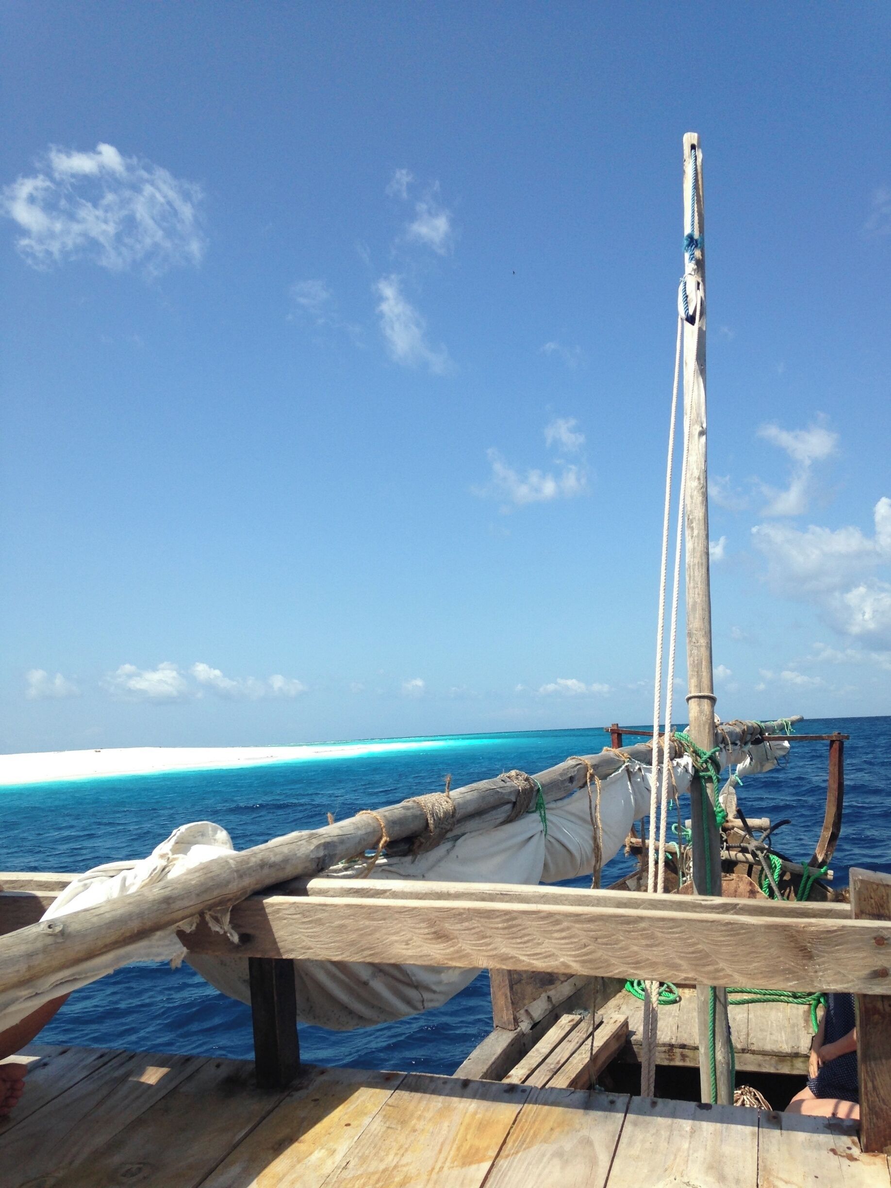Every time I think I found paradise here in Tanzania, something tops it. The snorkeling here is insane, crystal clear water and wild dolphin pods.