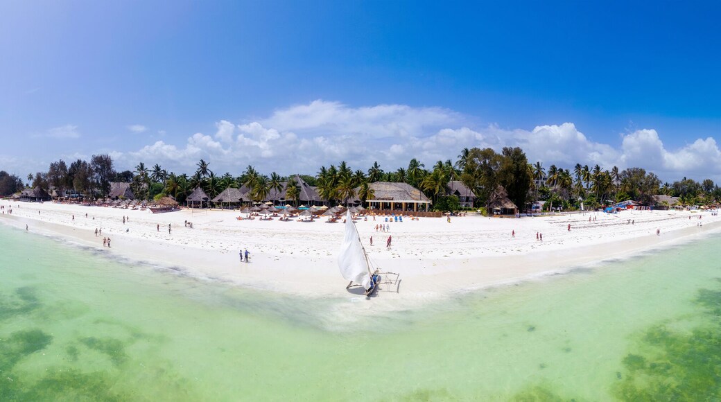 Amazing african beach Kiwengwa with palms and horizon on the background, Zanzibar, Africa