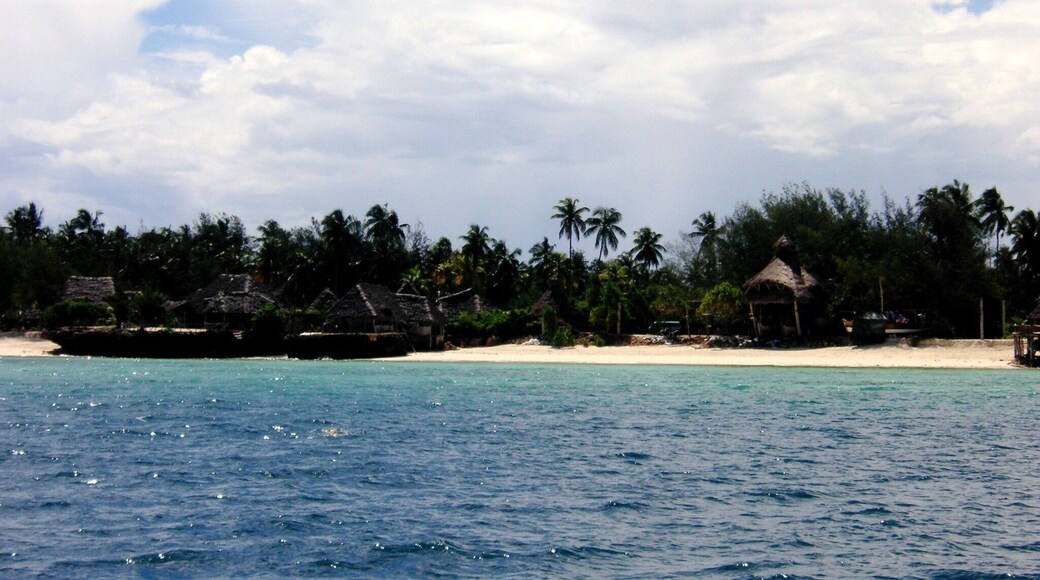 Lovely view of Nungwi Beach and our local thatch-roofed bar.