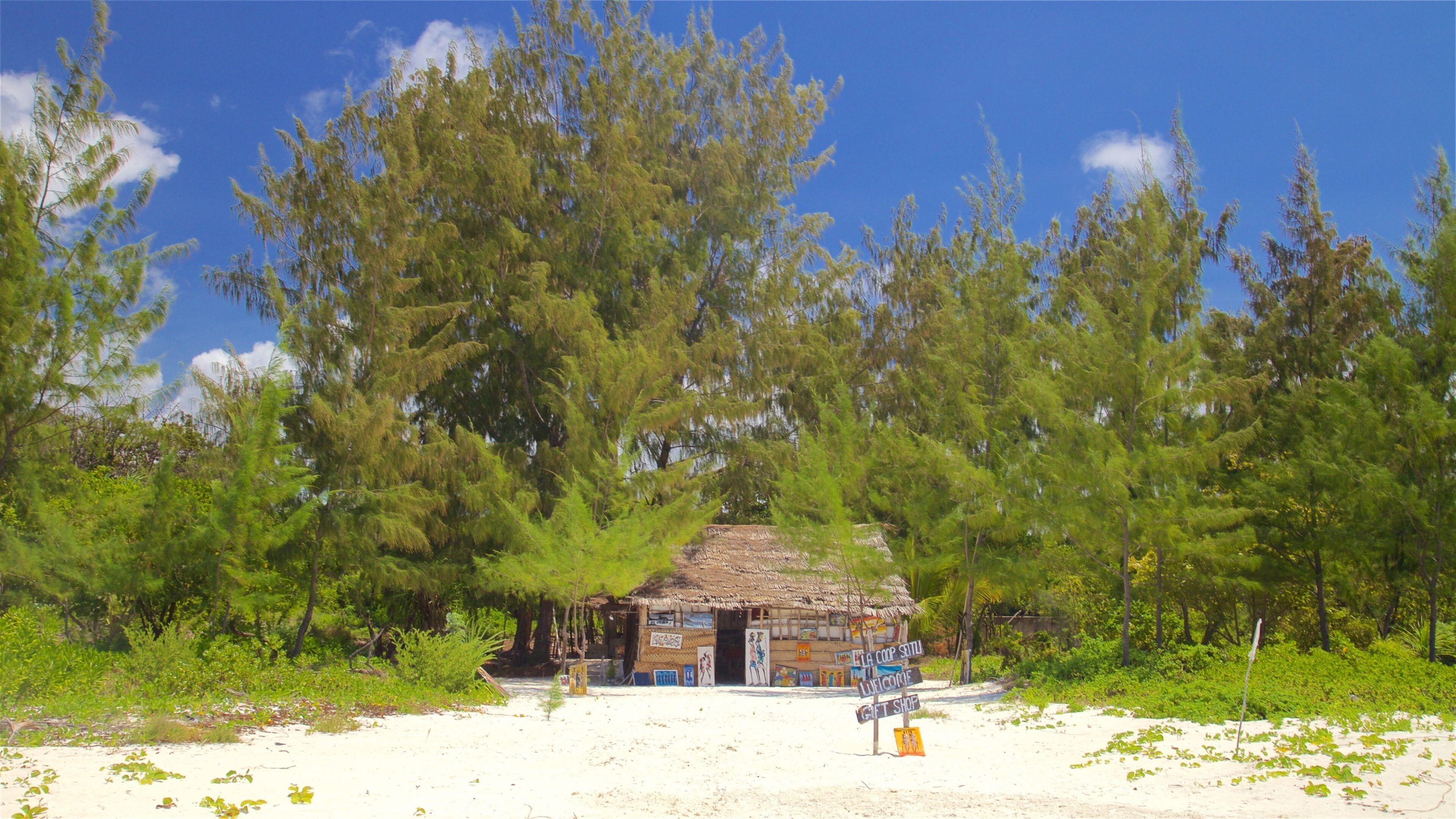 Kizimkazi