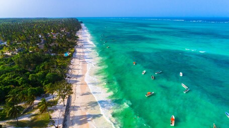 Ein tropischer Strand mit klarem, türkisblauem Wasser, Palmen und kleinen Booten.