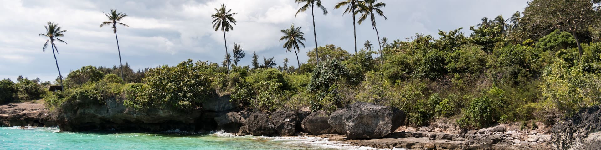 Turquoise waters, rocky coastline, and palm trees.