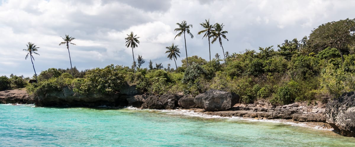 Turquoise waters, rocky coastline, and palm trees.