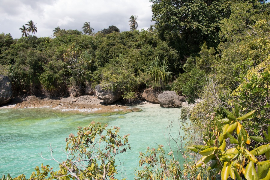 Un paisaje costero con aguas turquesas cristalinas, abundante follaje verde y afloramientos rocosos.
