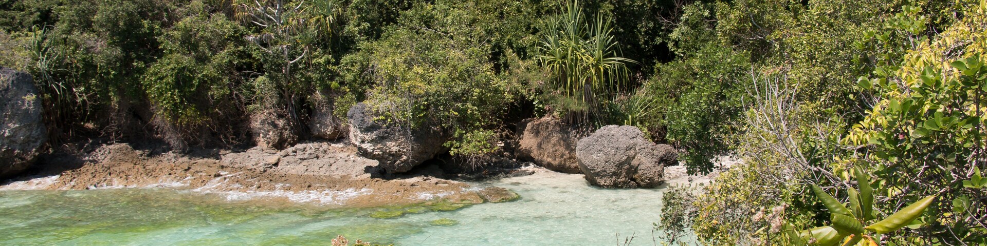Un paisaje costero con aguas turquesas cristalinas, abundante follaje verde y afloramientos rocosos.