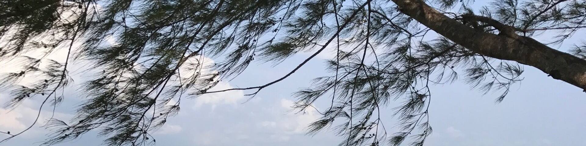 #AquaTrove
A short 4 km skiff ride across Zanzibar Harbour to the sandbar at "Prison Island" where the prison was never used but now is a sanctuary for giant tortoises and a good snorkeling and beach spot.