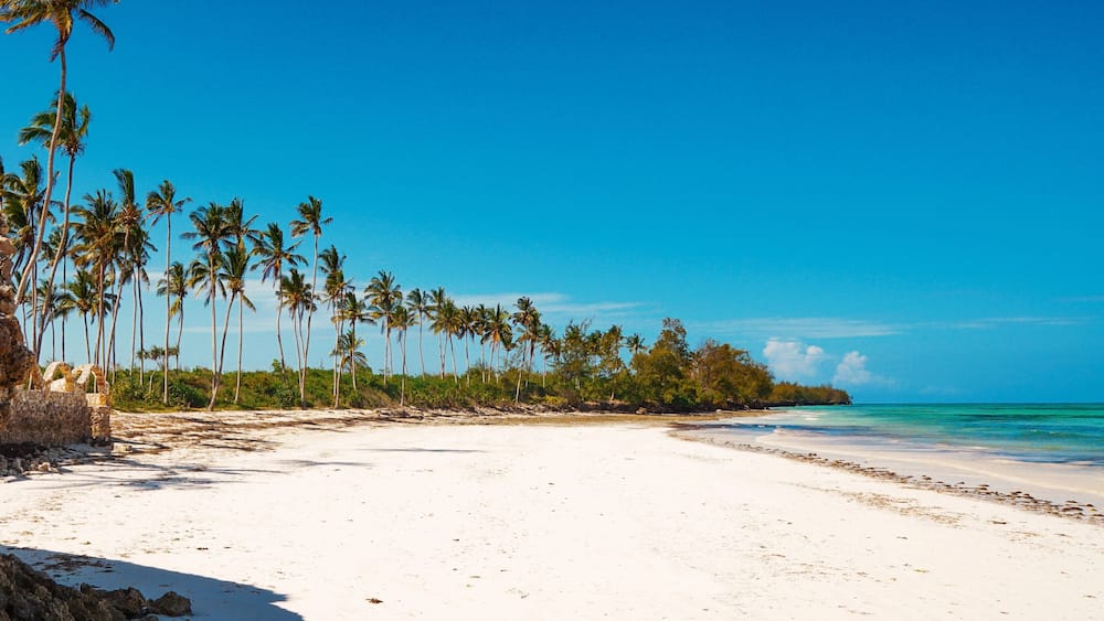 Une plage de sable blanc, bordée de palmiers, avec une eau d’un bleu cristallin.
