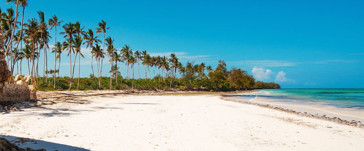 A beach with white sand, palm trees, and clear blue water.