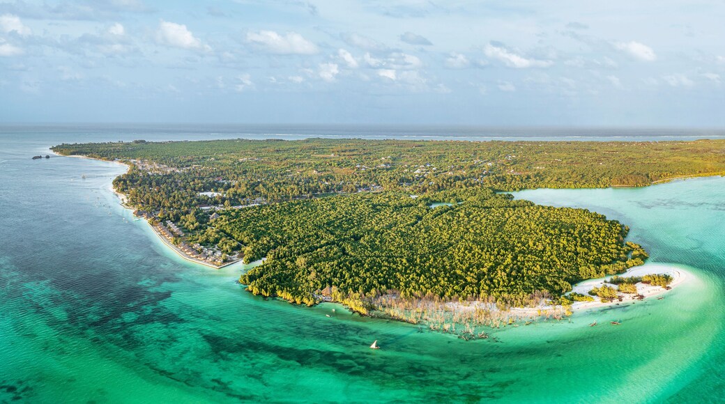 Sunset over lush mangrove forest washed by emerald green water of pristine lagoon, Pingwe, Chwaka Bay, Zanzibar, Tanzania